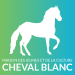 logo_chevalblanc.png